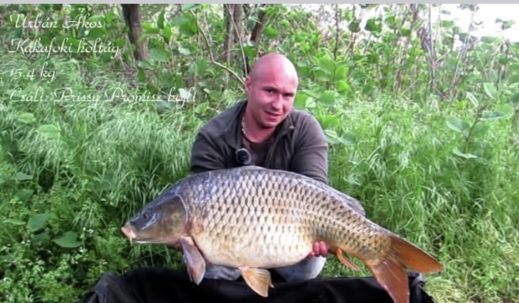 Urbán Ákos Barátom. A bojlis szekciónk vezére. Jávorka Danival az Abiotic tulajdonosával időt és energiát nem kimélve fejlesztik,tesztelik a közös Abiotic Kalandvár Bojli családunkat. Mindent elmond a termékről,hogy idén /2025/ fogták meg a mangó-barackos verzióval a Kákafoki-holtág eddigi legnagyobb 25.1kgs pontyát. 